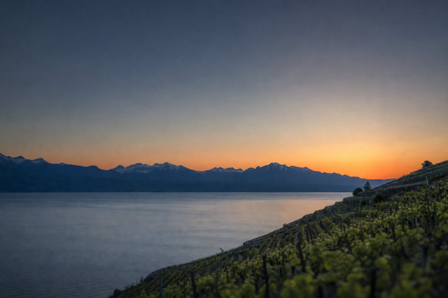 Lac Léman et les Alpes au crépuscule