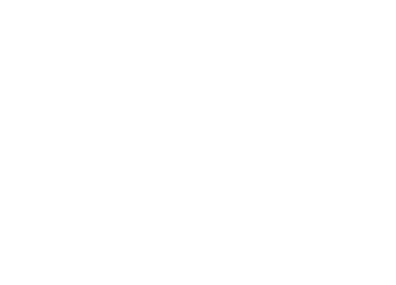 AdEYR Consulting